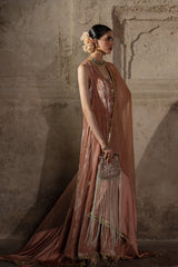 CB-V-12-25-3 CB-V-12-25-3