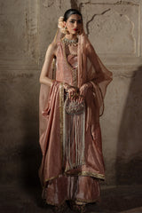 CB-V-12-25-3 CB-V-12-25-3