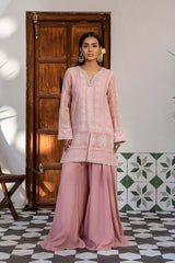 Faryal-24-2 Faryal-24-2