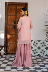 Faryal-24-2 Faryal-24-2