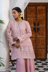 Faryal-24-2 Faryal-24-2