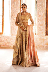 NBC-RP-S-02-23-1 VELVET SHAWL NBC-RP-S-02-23-1 VELVET SHAWL