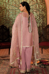 SLF-04-24-2 SLF-04-24-2