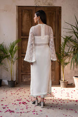 SLF-13-24-3 SLF-13-24-3