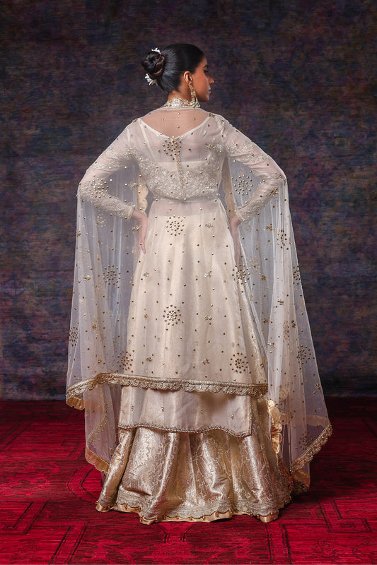 NBC-D-15-23-1 DUPPATA