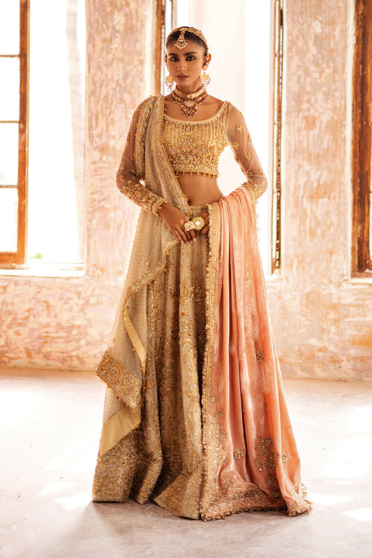 NBC-RP-S-02-23-1 VELVET SHAWL