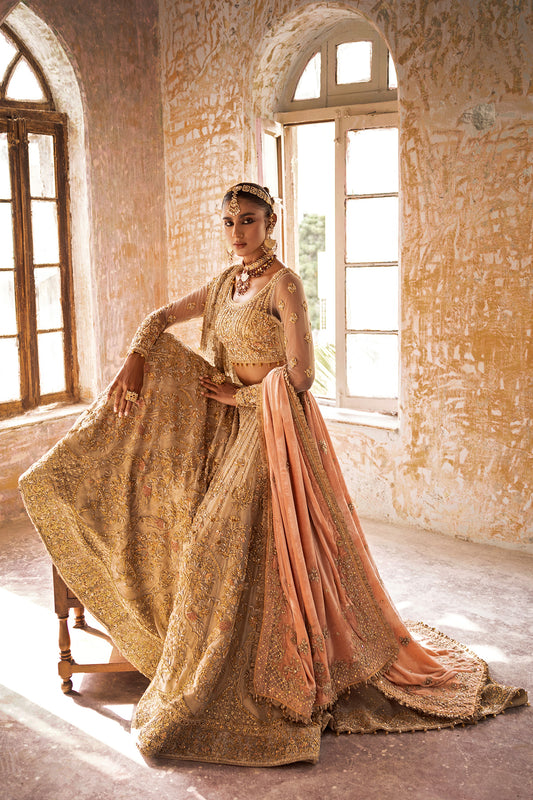 NBC-RP-S-02-23-1 VELVET SHAWL